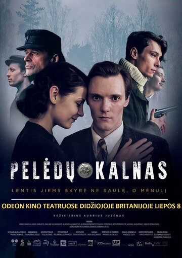 Постер фильма «Гора сов»