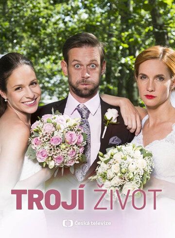 Постер фильма «Тройная жизнь»