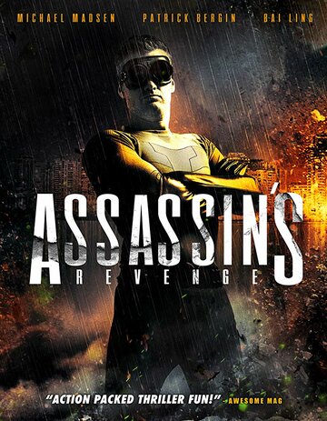 Постер фильма «Assassins Revenge»
