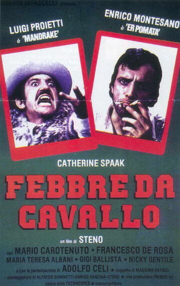 Постер фильма «Безумные скачки»