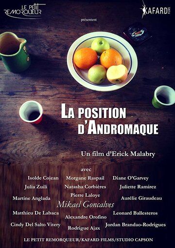 Постер фильма «La position d'Andromaque»