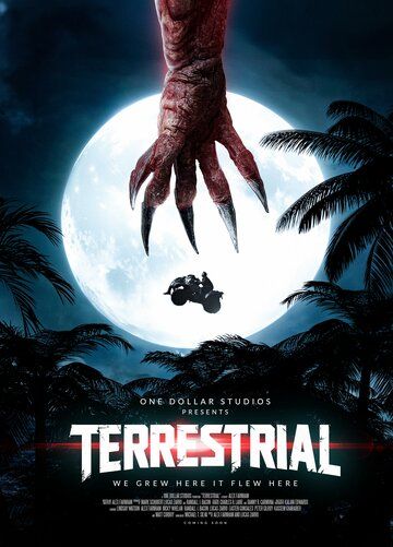 Постер фильма «Terrestrial»