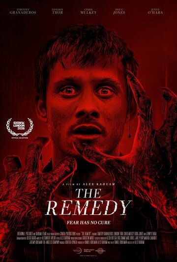 Постер фильма «The Remedy»