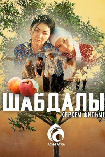 Постер фильма «Шабдалы»
