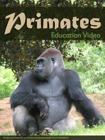 Постер фильма «Primats»