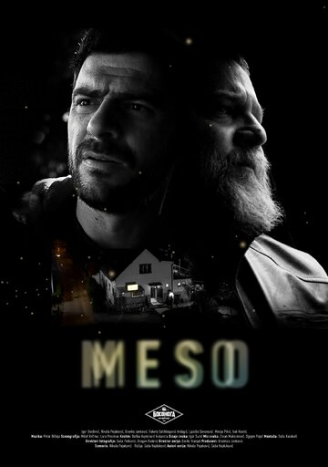 Постер фильма «Meso»