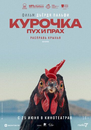 Постер фильма «Курочка. Пух и прах»