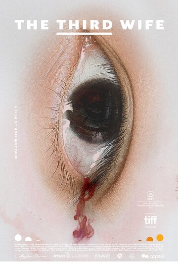 Постер фильма «Третья жена»