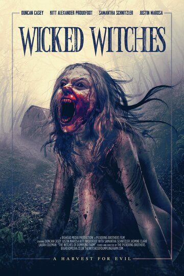 Постер фильма «The Witches of Dumpling Farm»