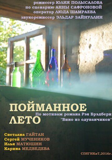 Постер фильма «Пойманное лето»