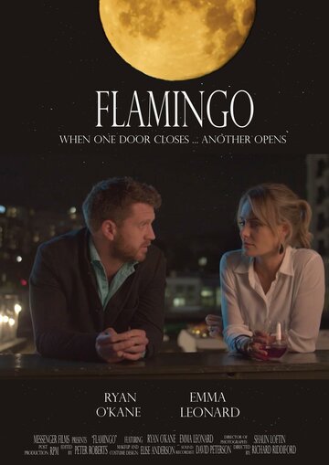 Постер фильма «Фламинго»