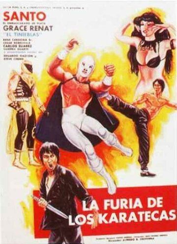 Постер фильма «La furia de los karatecas»