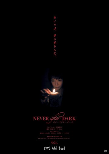 Постер фильма «Never After Dark»