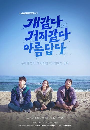 Постер фильма «Красивое и уродливое»