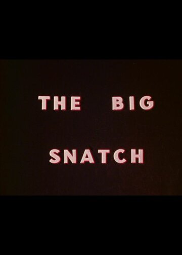 Постер фильма «The Big Snatch»