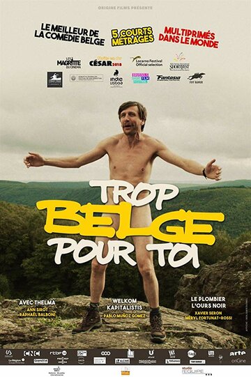 Постер фильма «Trop belge pour toi»