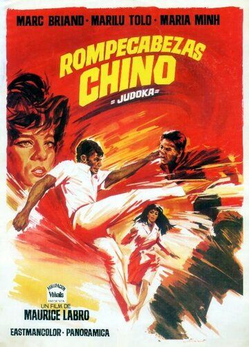 Постер фильма «Casse-tête chinois pour le judoka»
