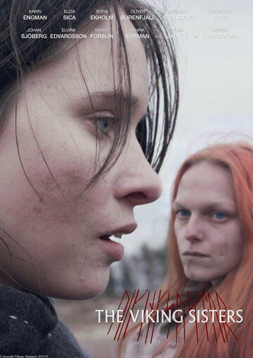 Постер фильма «Vikingasystrar»