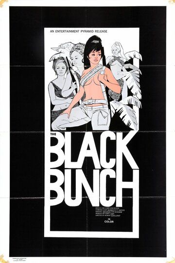 Постер фильма «The Black Bunch»