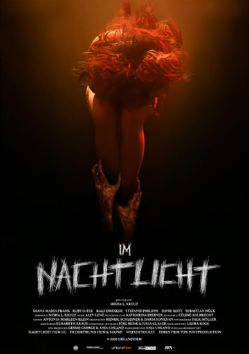 Постер фильма «Im Nachtlicht»