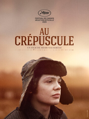 Постер фильма «В сумерках»