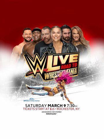 Постер фильма «WWE Live Road to WrestleMania»