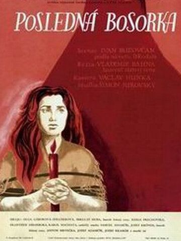 Постер фильма «Последняя ведьма»