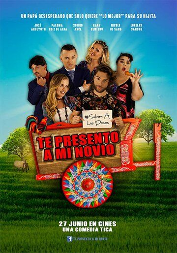 Постер фильма «Te presento a mi novio»