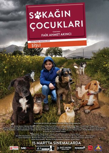 Постер фильма «Sokagin Çocuklari»