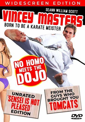 Постер фильма «Vincey Masters: Born to be a Karate Meister»
