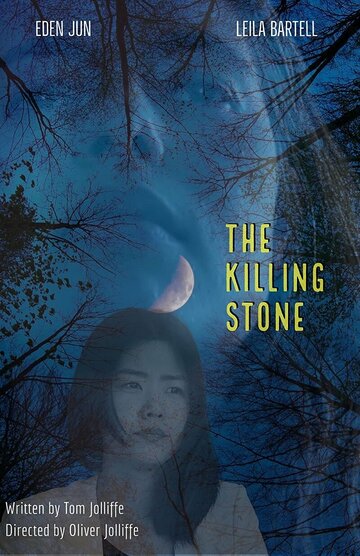 Постер фильма «The Killing Stone»