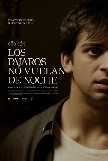 Постер фильма «Los pájaros no vuelan de noche»