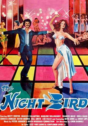 Постер фильма «The Night Bird»