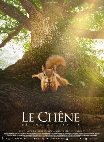 Le chêne