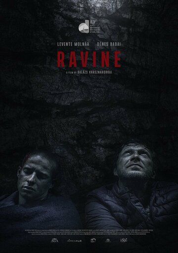 Постер фильма «Hasadék»