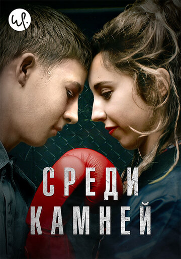 Постер фильма «Среди камней»