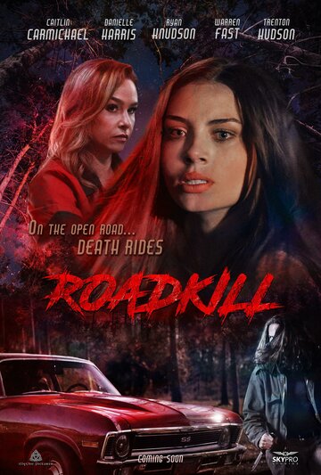 Постер фильма «Roadkill»