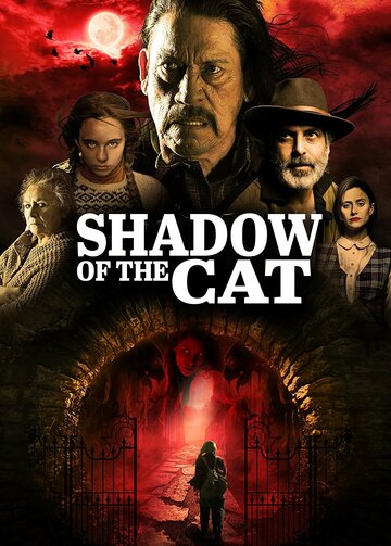 Постер фильма «La Sombra Del Gato»