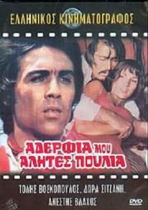 Постер фильма «Братья мои, бродяги, перелетные птицы»