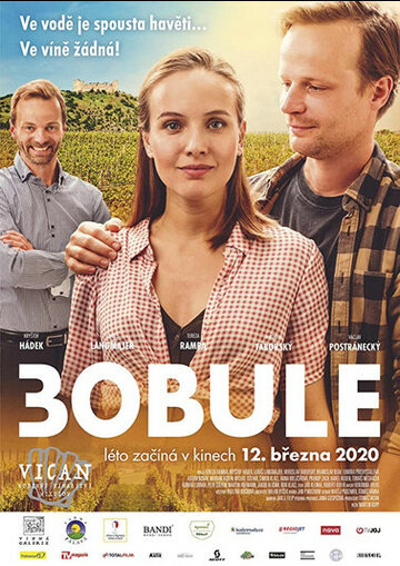 Постер фильма «3Bobule»