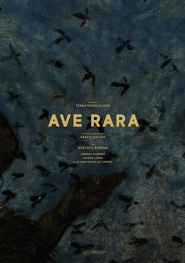 Постер фильма «Ave Rara»