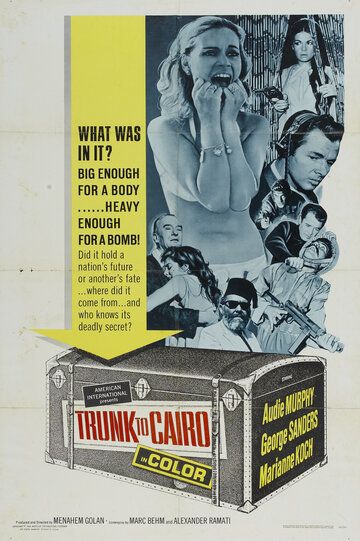 Постер фильма «Операция в Каире»