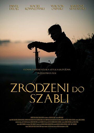 Постер фильма «Рожденный с саблей»