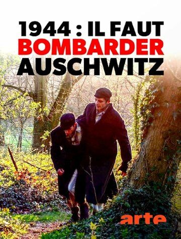 1944: Bomben auf Auschwitz?