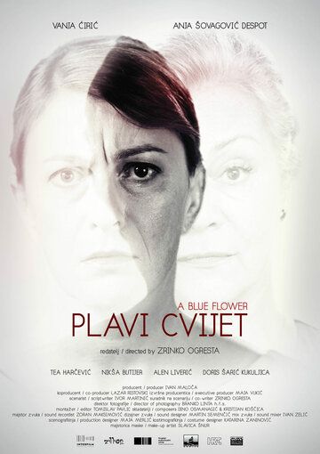 Постер фильма «Синий цветок»