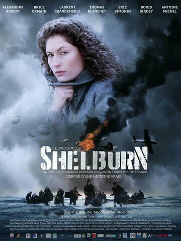 Постер фильма «Le réseau Shelburn»