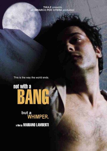 Постер фильма «Non con un bang»