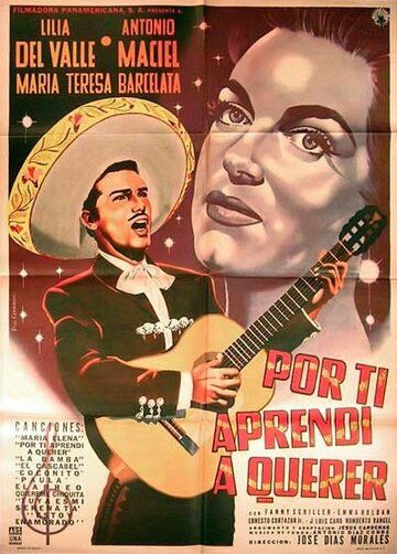 Постер фильма «Por ti aprendí a querer»