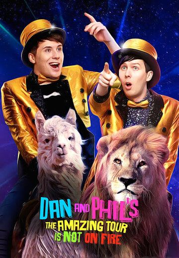Постер фильма «The Amazing Tour Is Not On Fire»