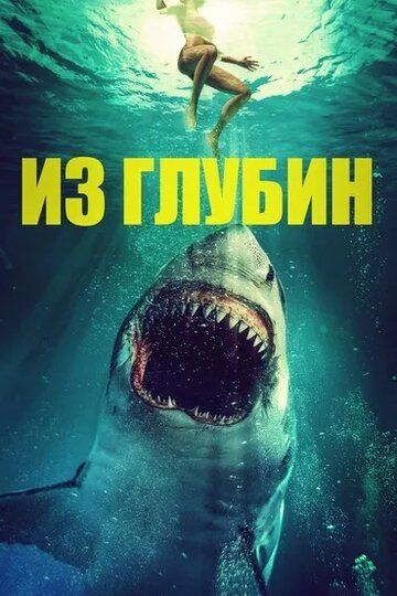 Постер фильма «Из глубин»